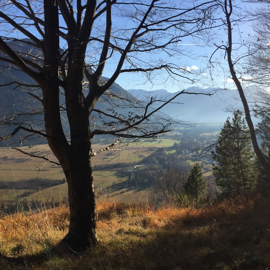 Ein perfekter Tag in Grainau: Über "Sieben Bänke" zum Loisachblick in Oberau