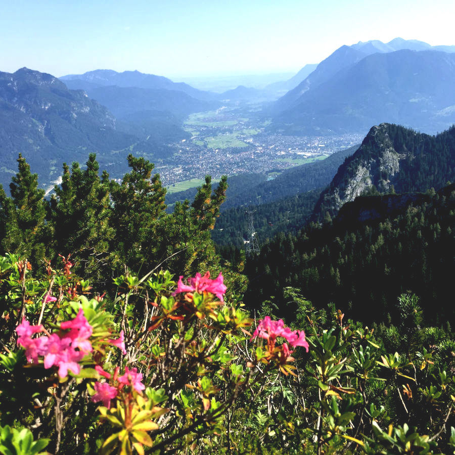 Our Hiking Highlight: The Spitzenwanderweg